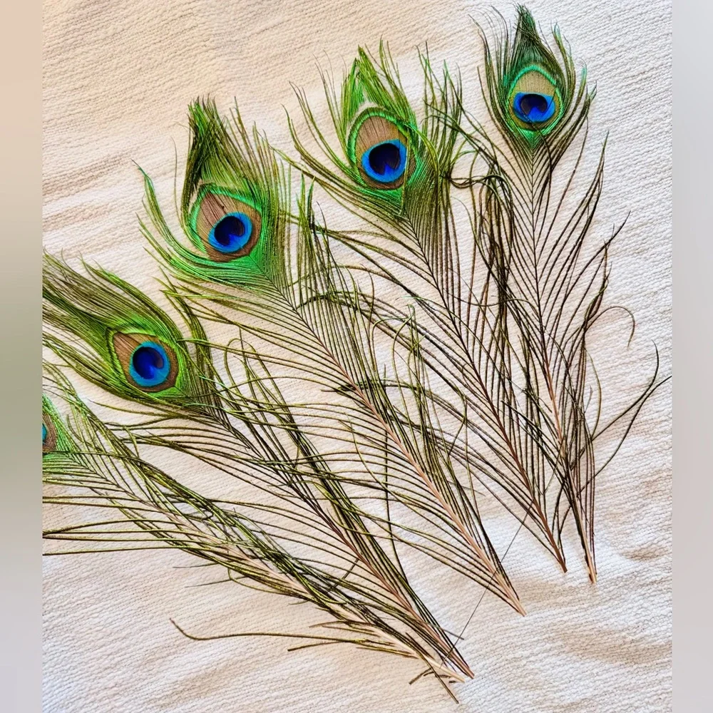 16” Big Eye Natural Peacock Feather Floral Home Decor & Arts Crafts 5 Feathers